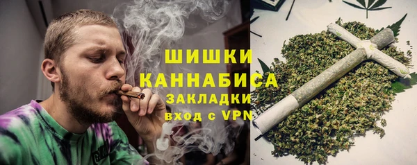 крисы Вязьма