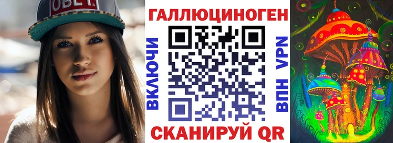 купить наркоту  blacksprut онион  Псилоцибиновые грибы Psilocybine cubensis  Долинск 